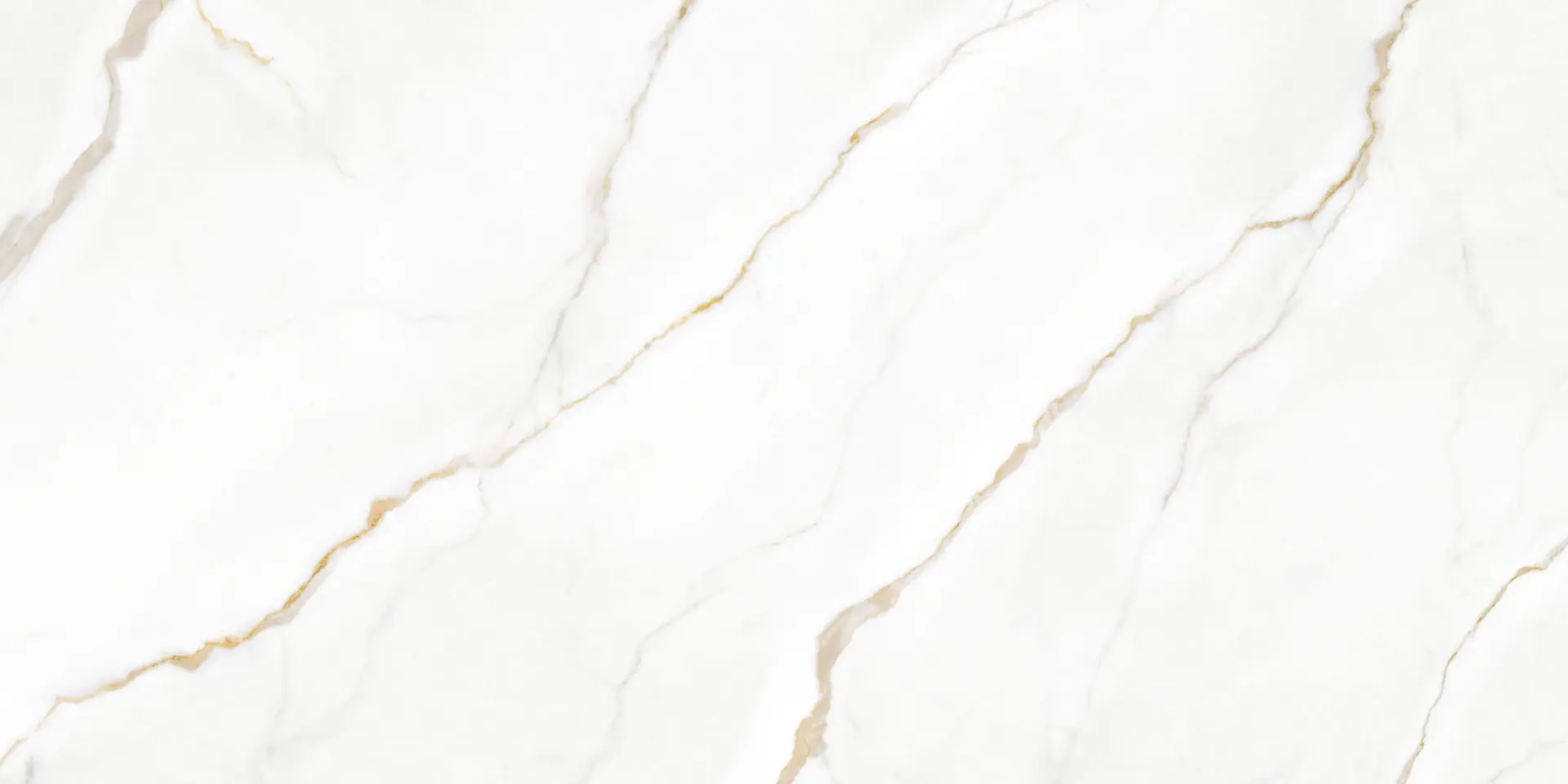 CALACATTA POLIDO 3200X1600 12MM POLISHED 