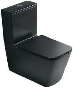 Two-Piece Close Coupled Toilet (Washdown, Matte Black) - Model 2920AMB  